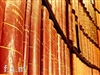 Roman shades can protect valuable books