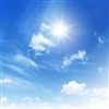 Hang solar screen shades to let soft light in