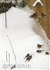 Make a home energy-efficient with honeycomb cellular shades