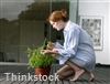 Roller shades are among the window treatments that can control light cast on house plants
