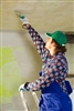 Renew a home in need of care with honeycomb cellular shades