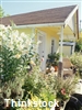Beach or garden themes are well suited to cottage-style decorating.