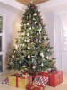 Match a tree and living room with roller shades