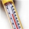 Keep blinds closed to lower temperature, conserve energy