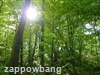 Woven shades can provide energy efficiency
