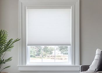 photo of the blind