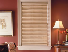 Suede Roman Shades