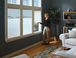 cordless bottom tdbu shades down blinds ecosmart honeycomb cell alto honeycombs upgrade blindschalet