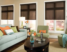 eco green solar screen shades