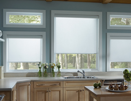 Classic Light Filtering Roller Shades