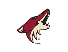 Phoenix Coyotes® Roller Shades