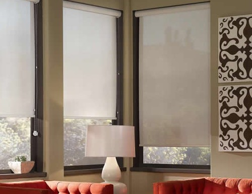 Details about    Window Solar Roller Shades Cordless with Cassette Volance Genoa Birch Color 