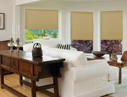 Solar 7000 Blackout Roller Shades