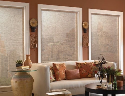 Modern Woven Roller Shades