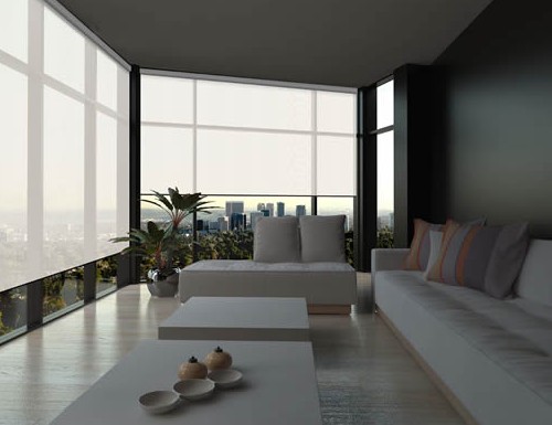 modern shades
