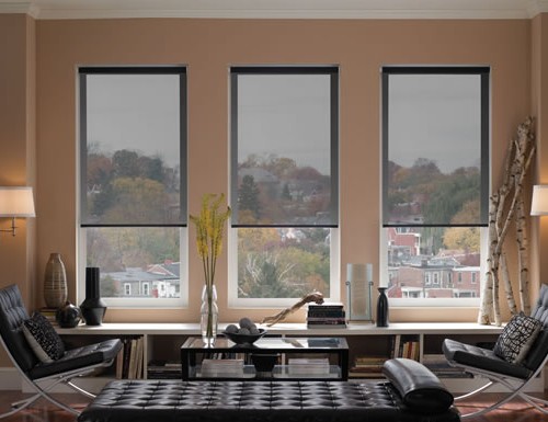 Basics Screen Roller Shades