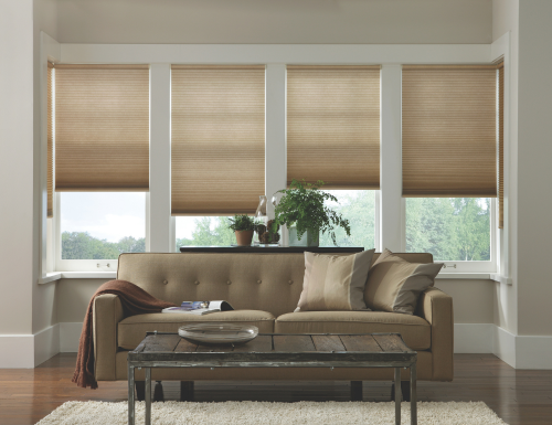 Basics 3/4" Light Filtering Cell Shades