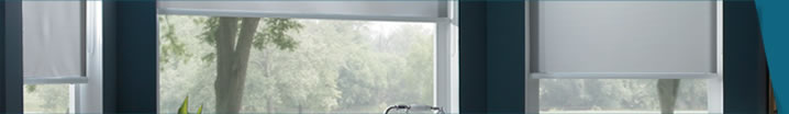 Roller Shades image