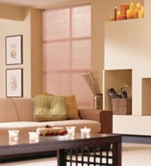 Living Room Window Treatments