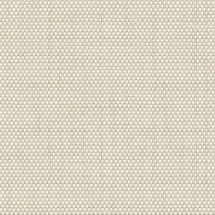 1% Open - Beige White