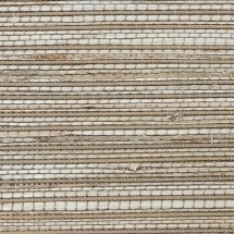 Jupiter Tan
