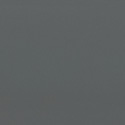Raw Umber