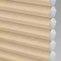 Parchment