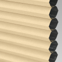 Papyrus