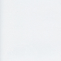 Denver White Out