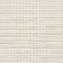 Harbor Ivory