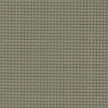 Grey-Sandstone