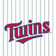 Jersey Logo - Red/Blue on White Pinstripes