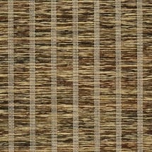Fiji Reeds
