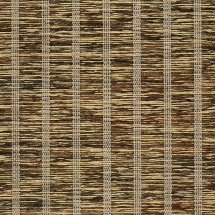 Fiji Reeds