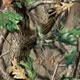 Realtree Hardwoods