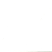 Silk White