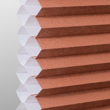 Terra Cotta