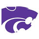 Wildcats "Powercat" logo