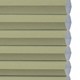 Pale Sage
