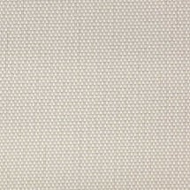 1% Open - Ivory