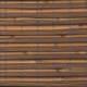 Water Reeds