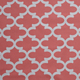 Fynn - Coral