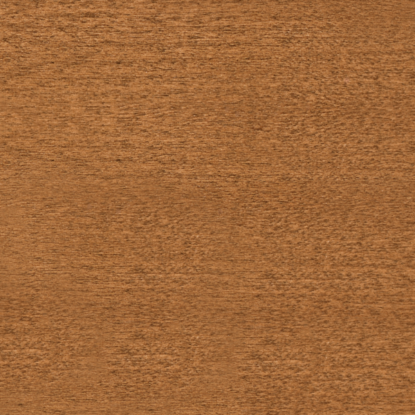Acorn