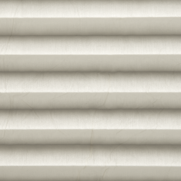 Statement Bone
