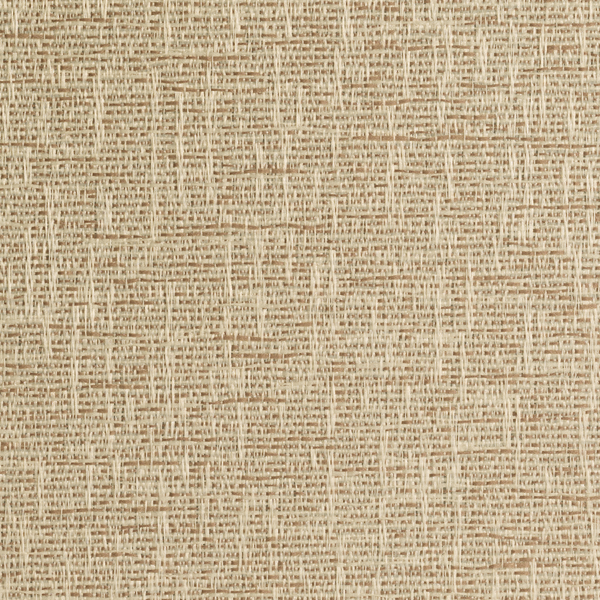 Fiddlestix Birch