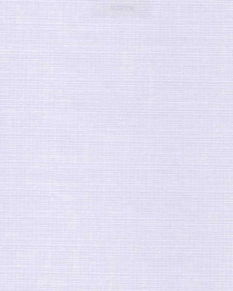Summer Lilac