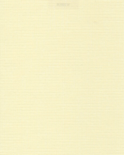 Summer Yellow