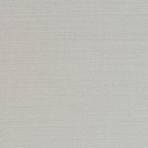 Raw Silk Crepe Silver