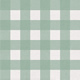 Gingham Cactus
