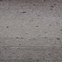Distressed Shadow